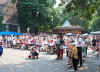 csd14.jpg (52120 Byte)